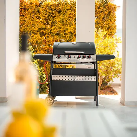 Βίλα Saturn *